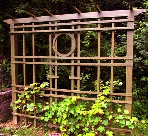Пергола-шпалера 