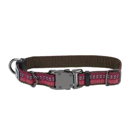 Coastal K9 Explorer Collar КОСТАЛ К9 ЕКСПЛОРЕР світловідбивний нашийник для собак, 1.6х20-30см Київ