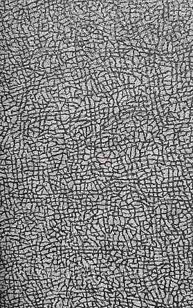 Шпалери вініл на флізеліні гарячого тиснення DU&KA Natura1.06х10 абстракція під шкіру смужки чорні сірі Київ