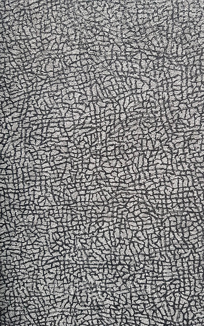 Шпалери вініл на флізеліні гарячого тиснення DU&KA Natura1.06х10 абстракція під шкіру смужки чорні сірі Київ - фото 3