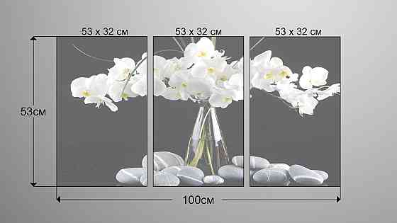 Модульна картина Орхідея Art-43_3А Київ