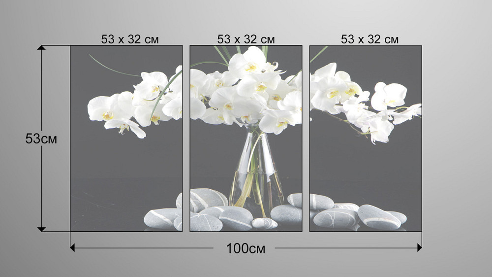 Модульна картина Орхідея Art-43_3А Київ - фото 3