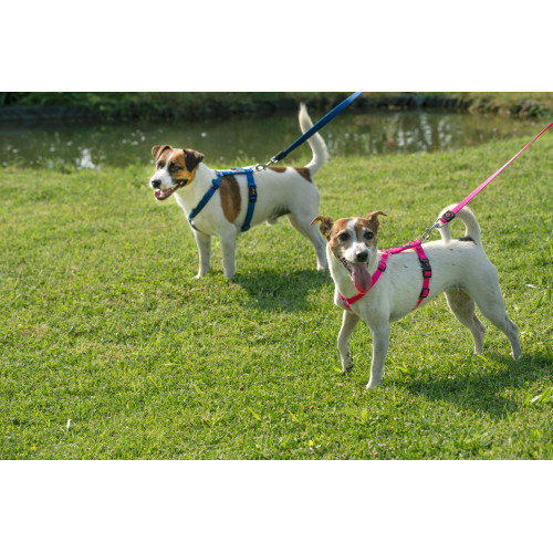 Повідець GimDog для собак Harlem рожевий неопрен 120 см/20 мм Київ - фото 2