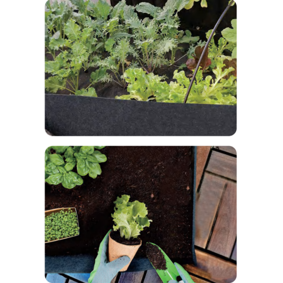 Вазон сумка для выращивания саженцев в саду,теплице ящик переносной для овощей,ягод,цветов, размер 60х30х20 см Каменец-Подольский