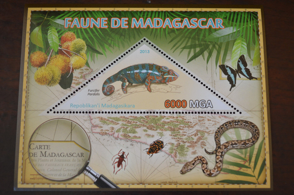 Мадагаскар. Фауна. Личности. Блок. 2014 р. (А-34) Полтава - фото 1