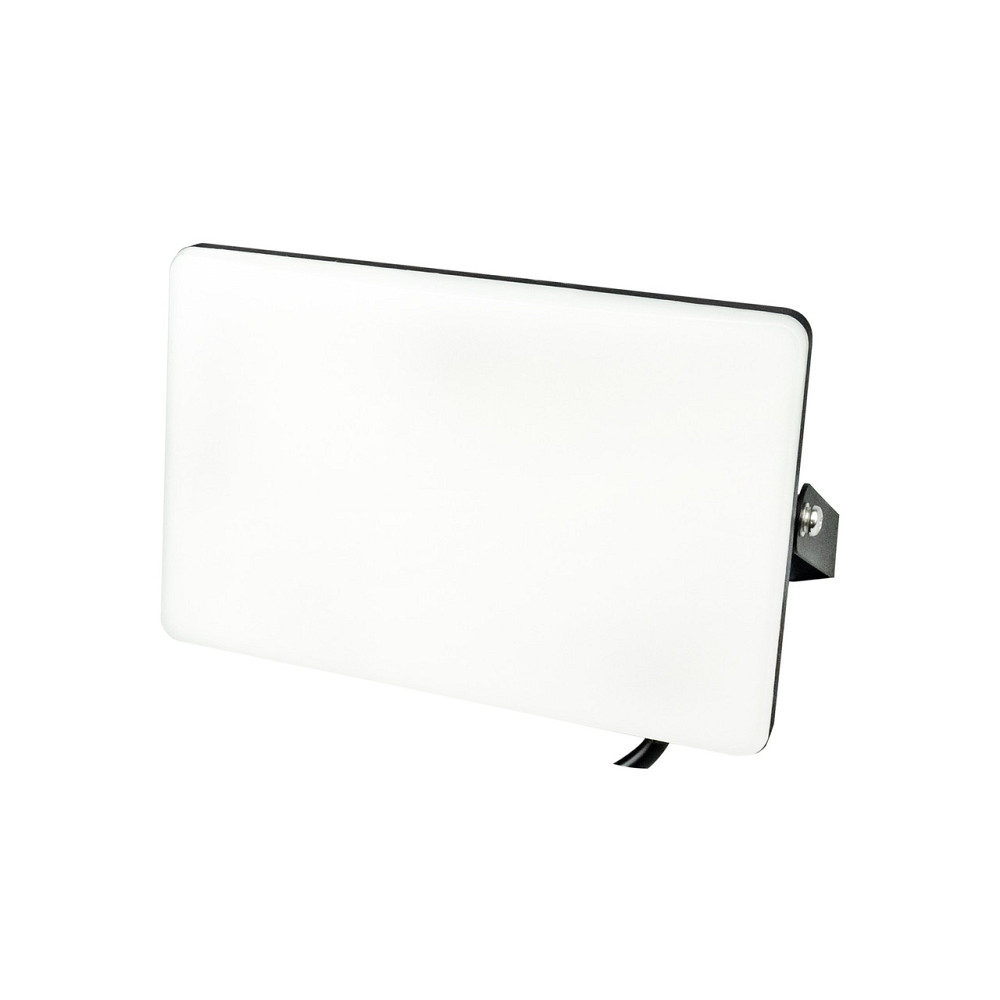 Прожектор світлодіодний матовий 50W 6400K PEGASUS-50 Київ - фото 1