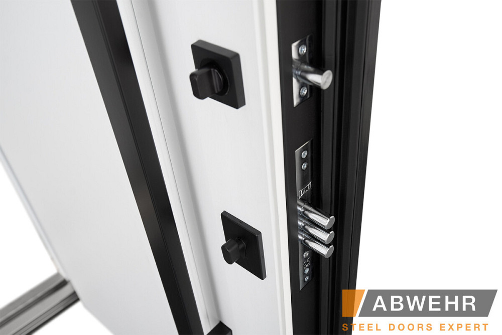 Двері вуличні, модель 536 CARAT ТЕРМОРОЗРИВ 3 контури ущільнення, чорне дерево/білий Київ - фото 4