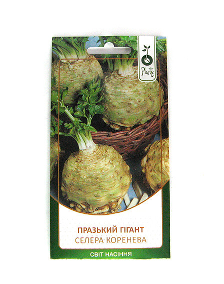 Насіння Селера кореневої Празький гігант Київ - фото 1