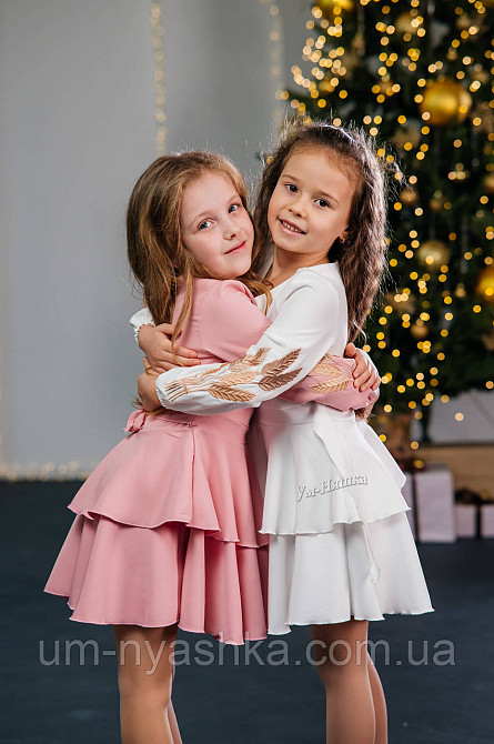 Дитяче плаття з вишивкою на рукавах Поділля-колоски Кривий Ріг - фото 4