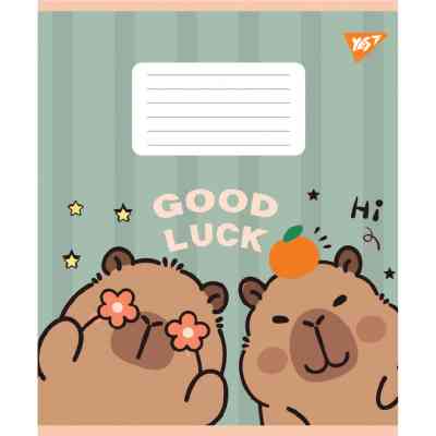 Зошит Yes Capy Tay А5 24 аркушів лінія (767804) Вінниця