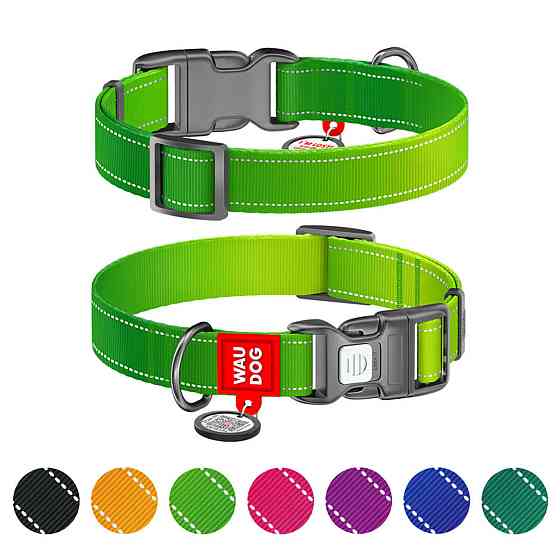 Ошейник для собак нейлоновый WAUDOG Nylon Mono с QR паспортом, светоотражающий, пластиковый фастекс, XL, Ш 25 мм, Длин 37-58 см салатовый Киев