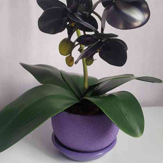 Штучна латексна орхідея VIP в бузуковому керамічному кашпо на одну гілку фіолетова Дніпро