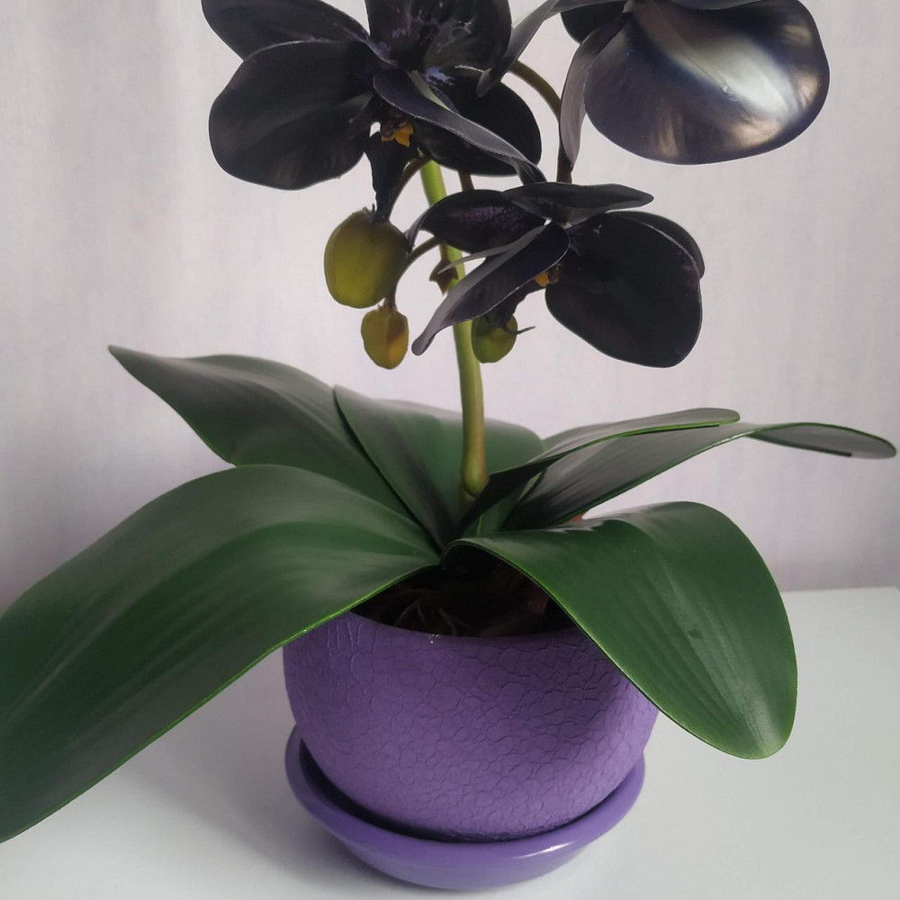 Штучна латексна орхідея VIP в бузуковому керамічному кашпо на одну гілку фіолетова Дніпро - фото 3
