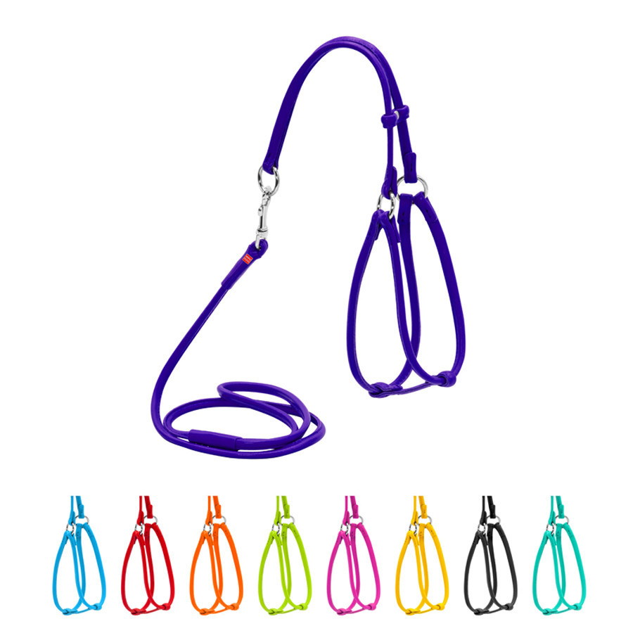 Шлея с поводком для собак кожаная WAUDOG Glamour с QR паспортом, круглая, Д 6 мм, А 42-60 см, В 46-64 см фиолетовый Киев - изображение 1