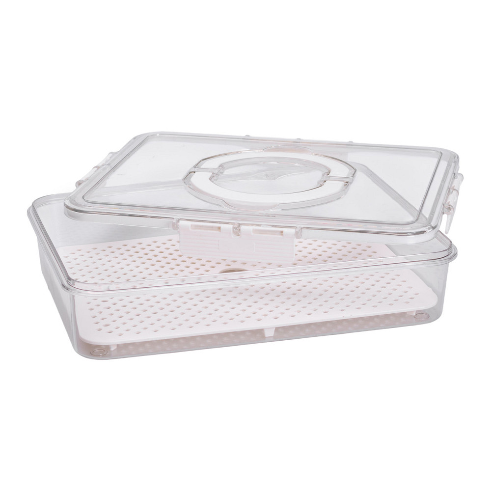 Yiwu Контейнер для їжі з ручкою 31х24х7 см пластиковий харчовий контейнер 2.5 л HP-27-10 Київ - фото 5