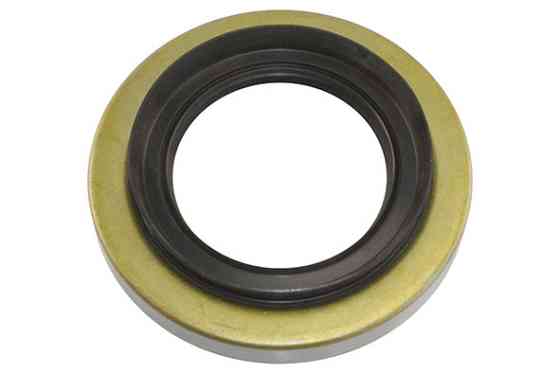 Сальник хвостовика диференціала 320MM(6CP) Богдан (60x113x12/20) GP 8-97047609-0 Київ