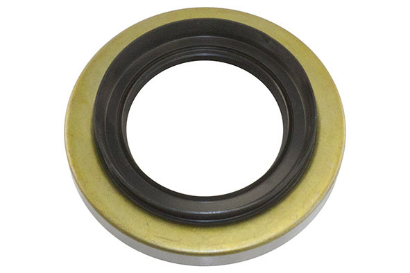 Сальник хвостовика диференціала 320MM(6CP) Богдан (60x113x12/20) GP 8-97047609-0 Київ - фото 1