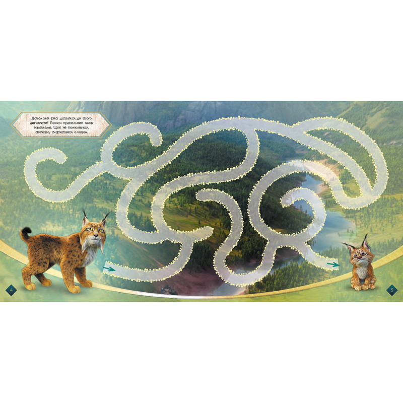 Лабиринты с наклейками «Мавка Загадочный мир» 1249019 Винница - изображение 4