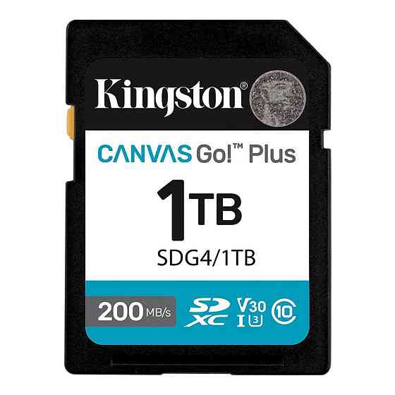 Карта памяти SDXC (UHS-1 U3) Kingston Canvas Go! Plus 1Tb class 10 A2 V30 (R200MB/s, W160MB/s) Одесса