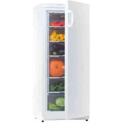 Морозильная камера Snaige F22SM-T1000E Винница