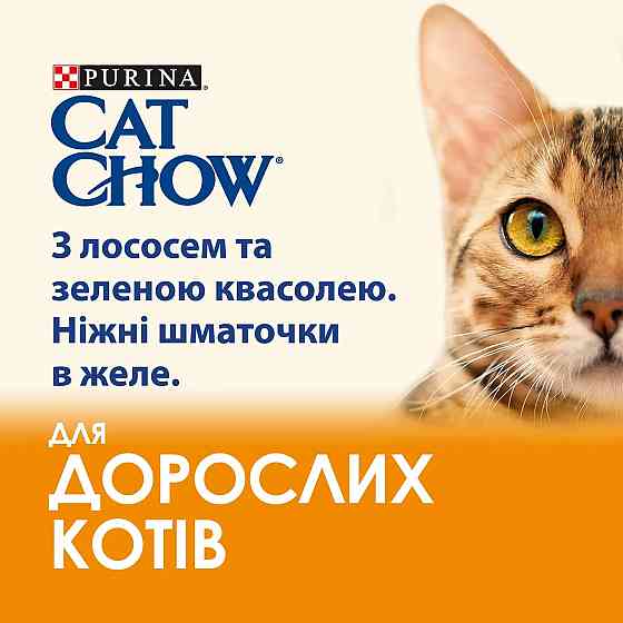 Вологий корм CAT CHOW Adult для дорослих котів, шматочки в желе, з лососем та зеленою квасолею, 85 г Київ