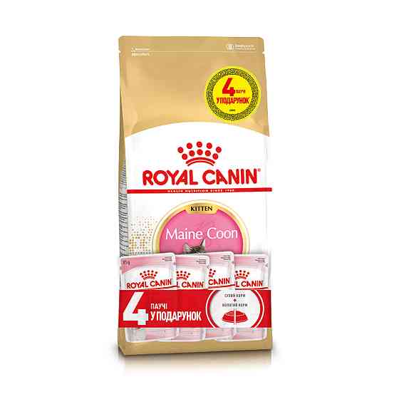 Корм для кошенят породи Мейн-Кун ROYAL CANIN MAINECOON KITTEN 2кг + 4 паучі вологого корму у подарунок Киев
