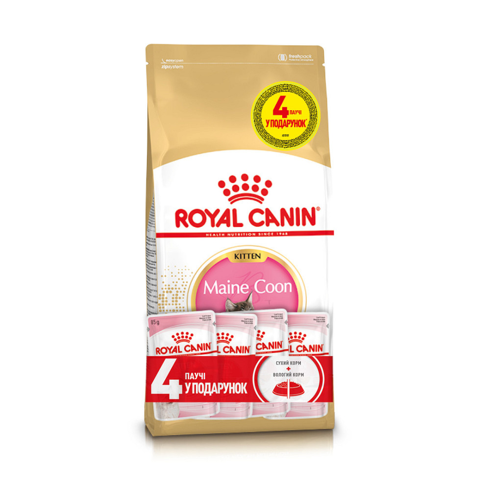 Корм для кошенят породи Мейн-Кун ROYAL CANIN MAINECOON KITTEN 2кг + 4 паучі вологого корму у подарунок Киев - изображение 1