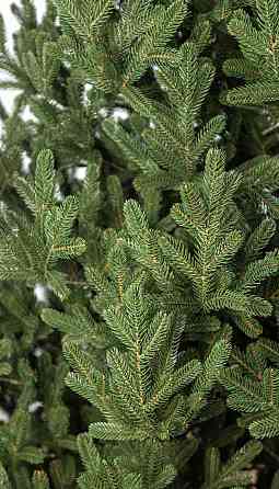 Елка Венская искусственная с густой хвоей (Зеленая) 2.2м Винница