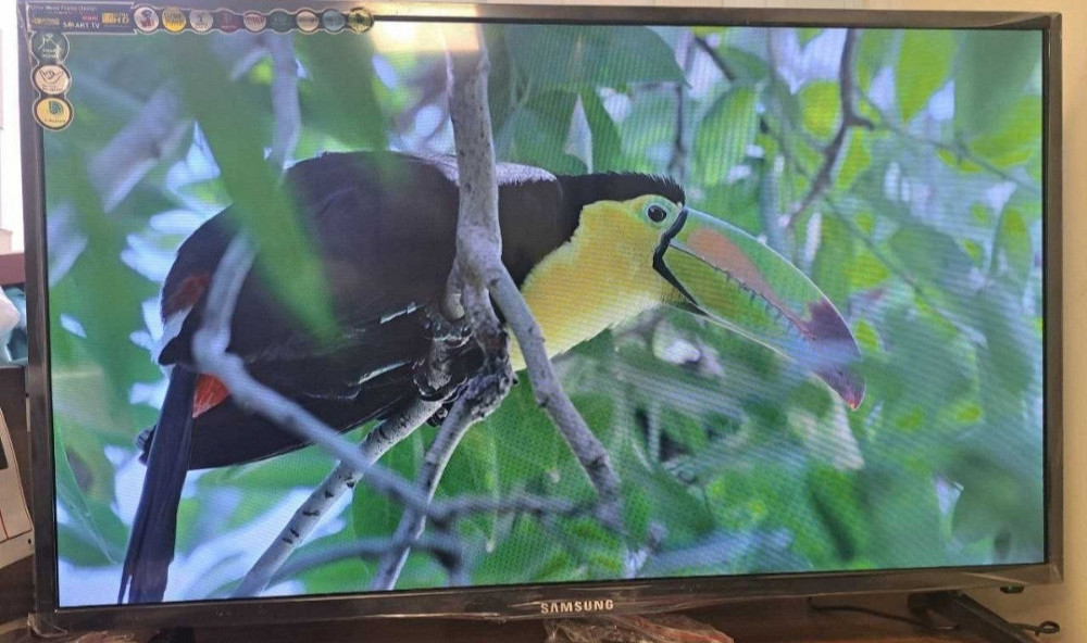 Телевизор: 55