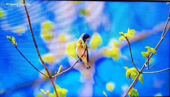 Телевізор Samsung 50Q60 Smart 4K. Київ