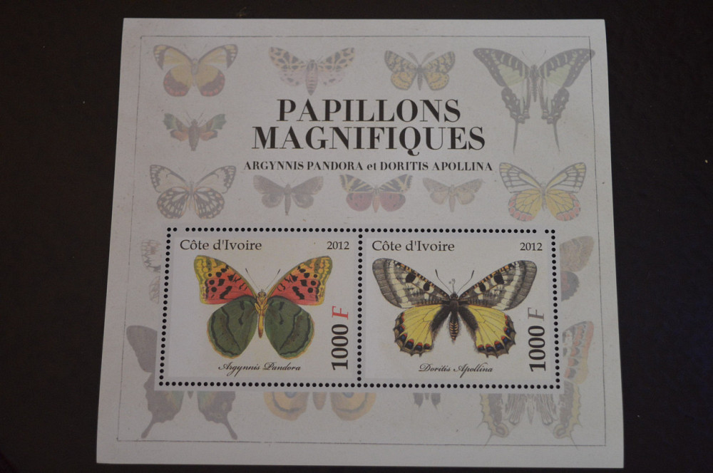 Кот-д’Ивуар. Фауна. Блок. 2015 год (В-6) Полтава - изображение 1