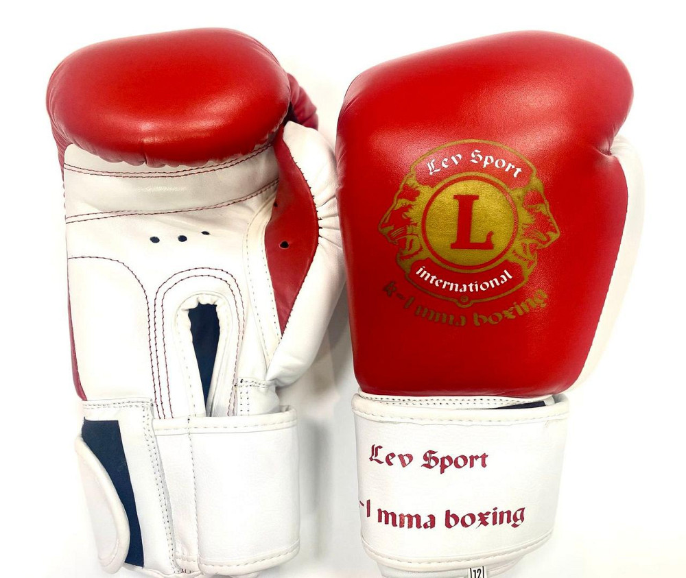 Перчатки боксерские LEV-SPORT VIP кожа 12 oz Вишневе - фото 3