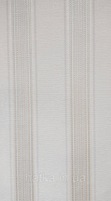 Шпалери вінілові на флізеліні AdaWall Seyyah 1.06х10 смуги широкі структурні білі сріблясті Київ - фото 3