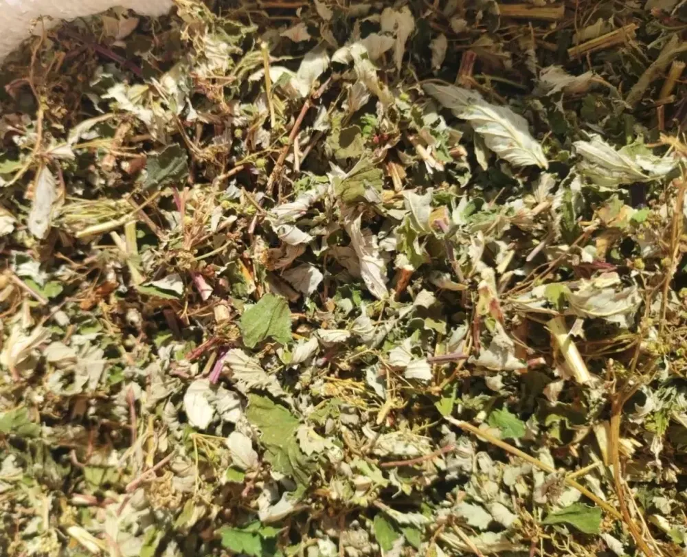 Лабазник вязолистный (Таволга/Гадючник), 100г master sem Киев - изображение 1