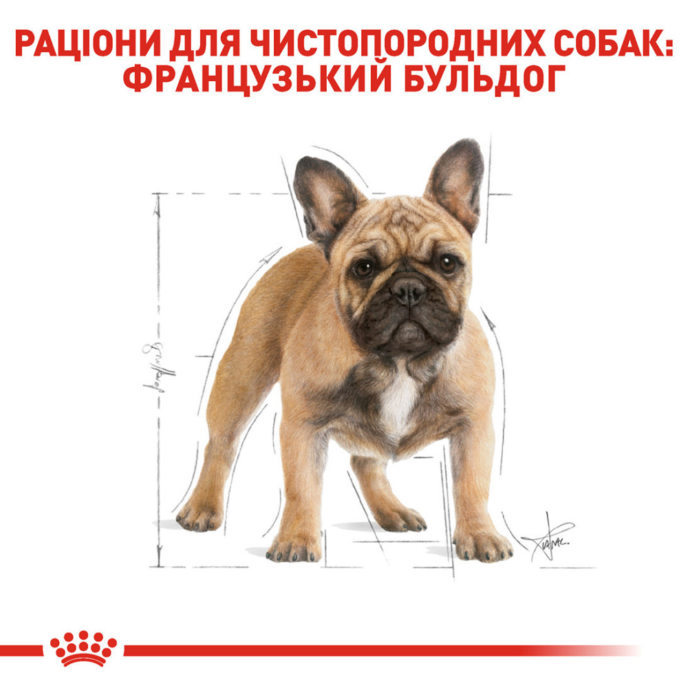 Корм для дорослих собак ROYAL CANIN FRENCH BULLDOG ADULT 1.5 кг Київ - фото 3