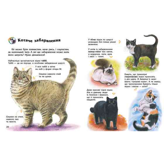 Энциклопедия дошкольника 