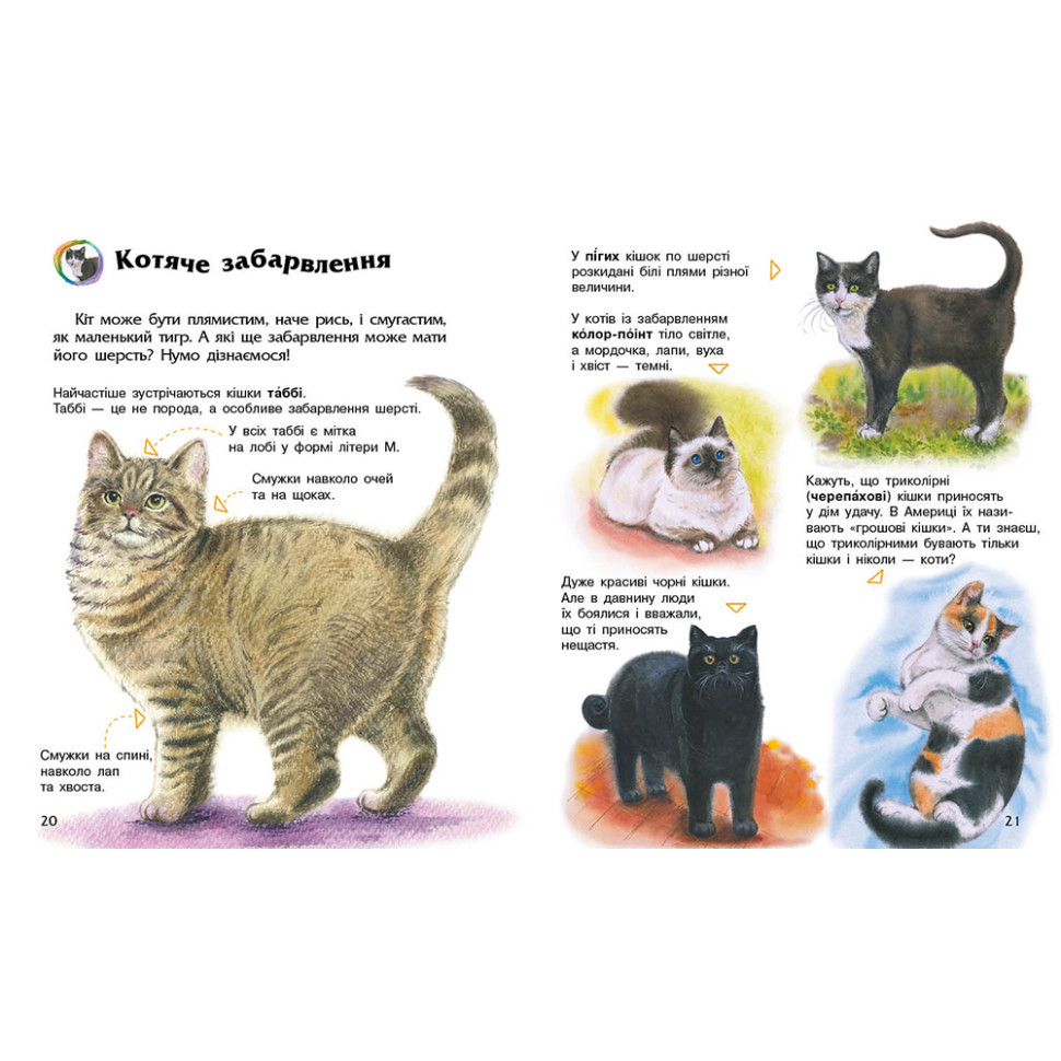 Энциклопедия дошкольника 