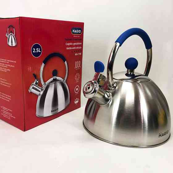 Чайник для плити з гучним свистком Magio, Чайник для газової комфорки Гарний плит QL-66 Львів