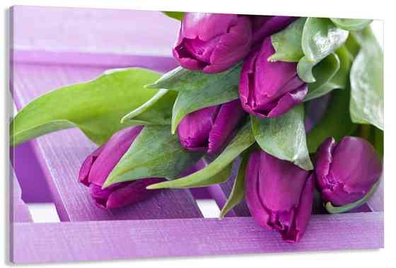 Картина полотно у вітальню / спальню  Тюльпани    MLP_394 ( 60х30см ) 40x80 см Київ