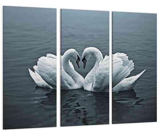 Модульная картина Пара Лебедей на воде Art-112_XXL 70x130 см Киев