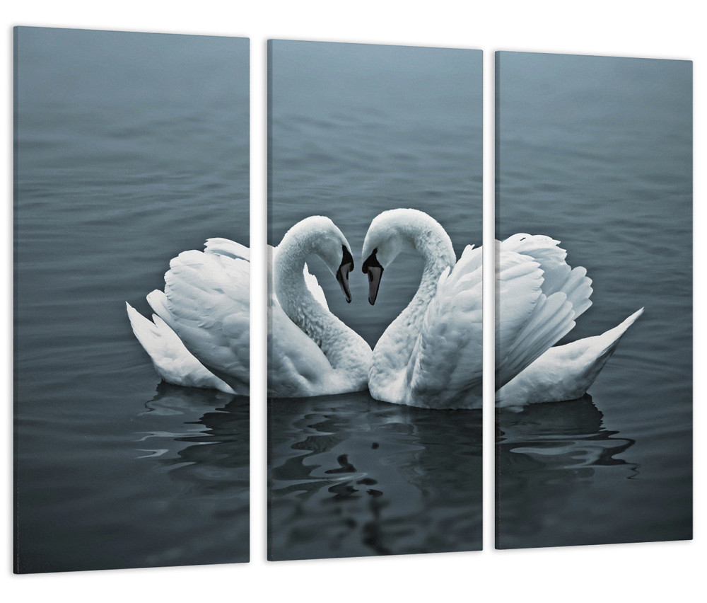 Модульная картина Пара Лебедей на воде Art-112_XXL 70x130 см Киев - изображение 1