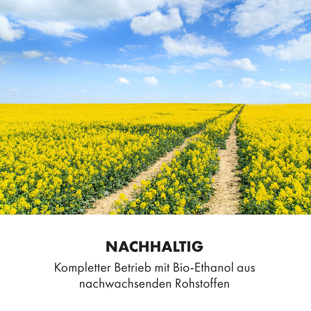 Средство для пожаротушения этанолового камина Phantasma Skyfire (Германия, читать описание) Ровно - изображение 7