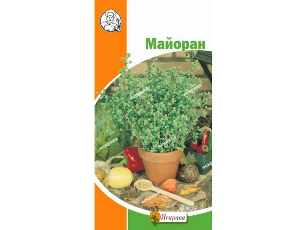 Майоран (20 пачек) 0.3г ТМ ЯСКРАВА Киев - изображение 1