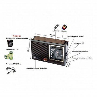 Радіоприймач мульти-діапазонний Golon RX-9933 USB Вінниця - фото 6