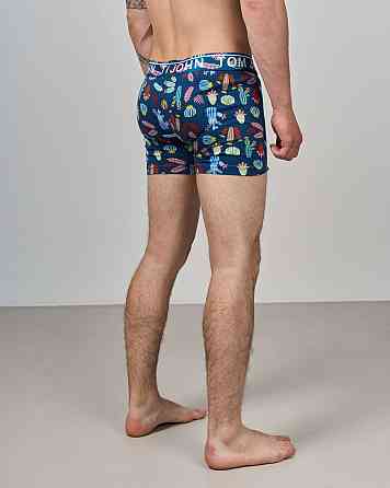 Боксеры мужские Tom John - Кактусы 2200-17 XXL Киев