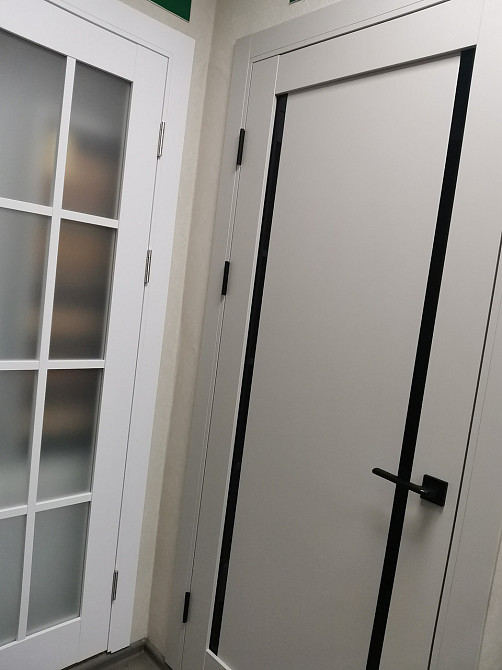 Двері екокошпон, Полотно, серія Millenium (ML-62) Світло-сірий Київ - фото 6