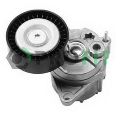 Натяжитель ремня с роликом Profit 1014-1324 Винница - изображение 1