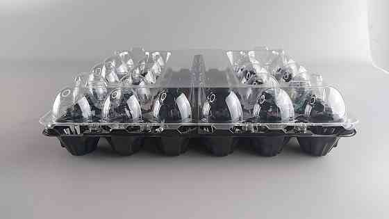 Упаковка для куриных яиц 30 ячеек низ черная (50 шт) Харьков