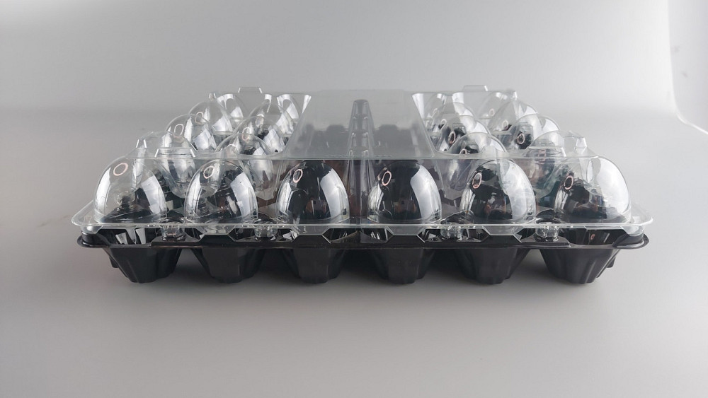 Упаковка для куриных яиц 30 ячеек низ черная (50 шт) Харьков - изображение 3