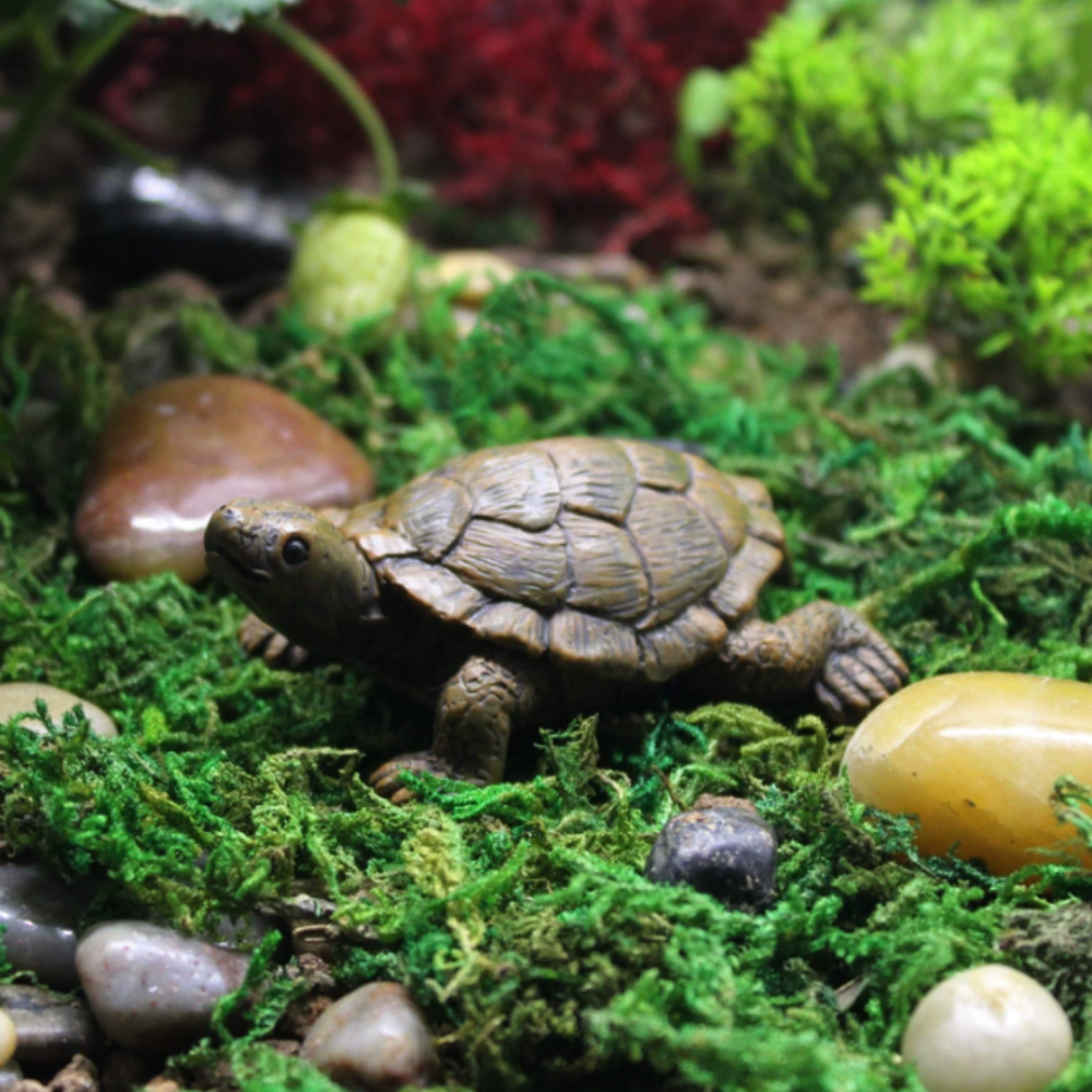 Фигурка Черепаха 7 х 5.6 см для вазона, мини-сада, балкона, флрариума Одесса - изображение 1